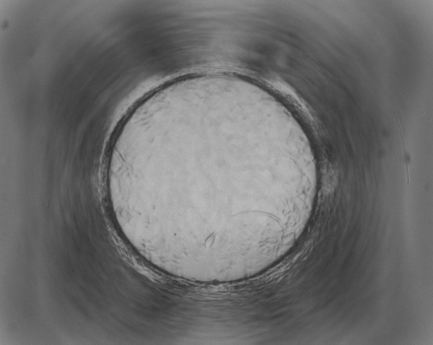 X0000084021278200703161730