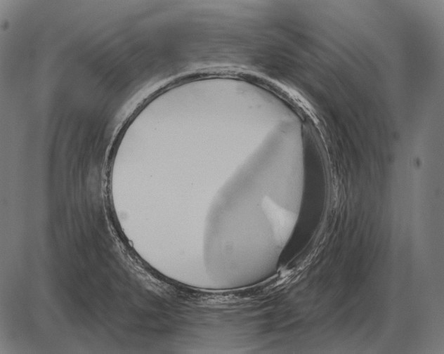 X0000084021279200703161730