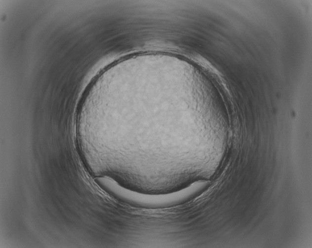 X0000084021280200703161730