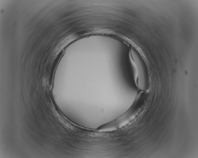 X0000084021281200703161730