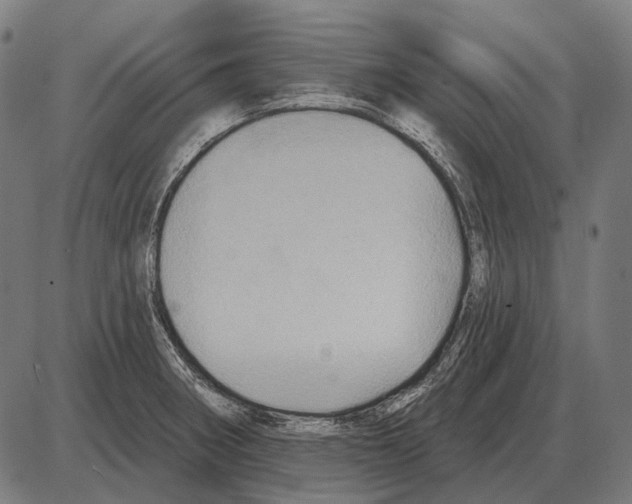 X0000084021282200703161730