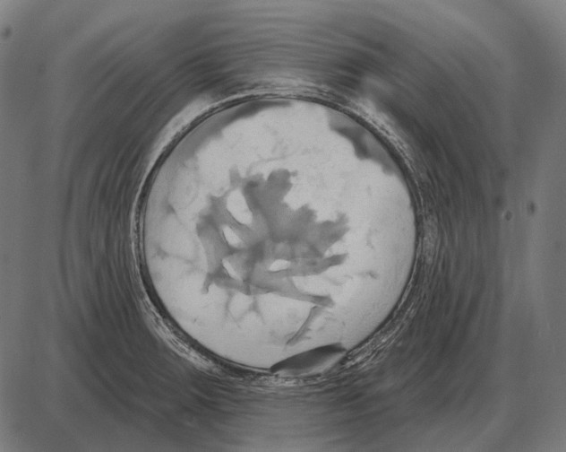 X0000084021283200703161730