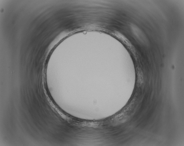 X0000084021286200703161730