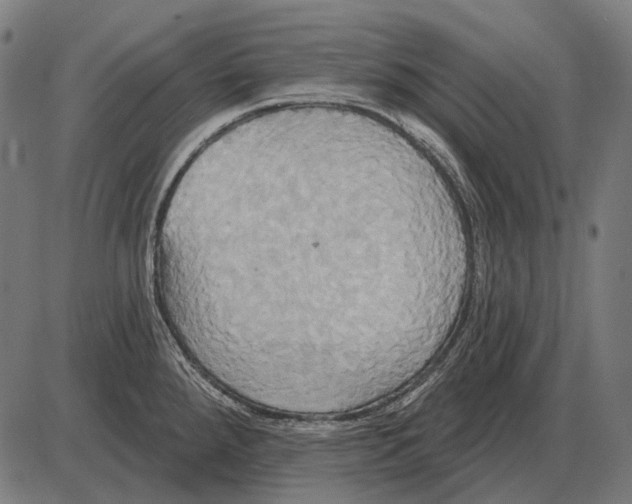 X0000084021288200703161730