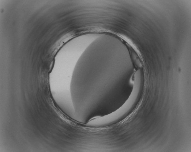 X0000084021289200703161730