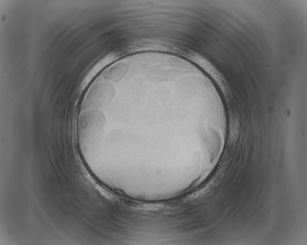 X0000084021290200703161730