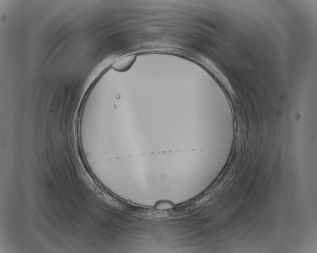 X0000084021291200703161730