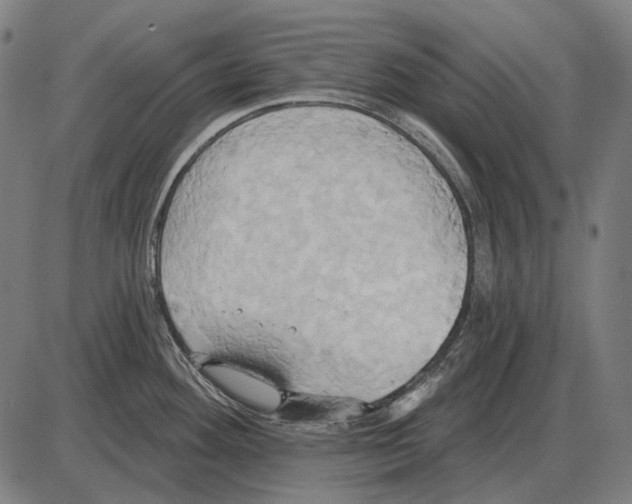 X0000084021292200703161730