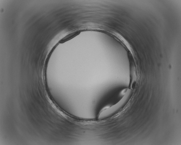 X0000084021293200703161730