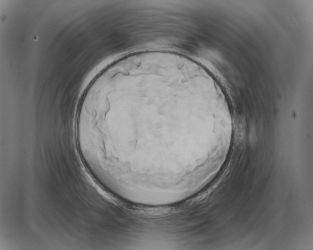 X0000084021294200703161730