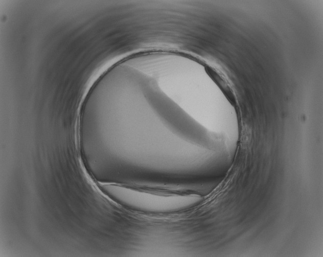 X0000084021295200703161730