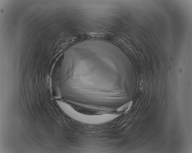 X0000084021298200703161729