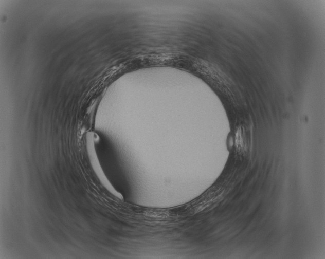 X0000084021299200703161729