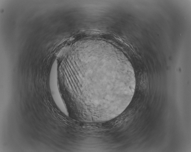 X0000084021301200703161729