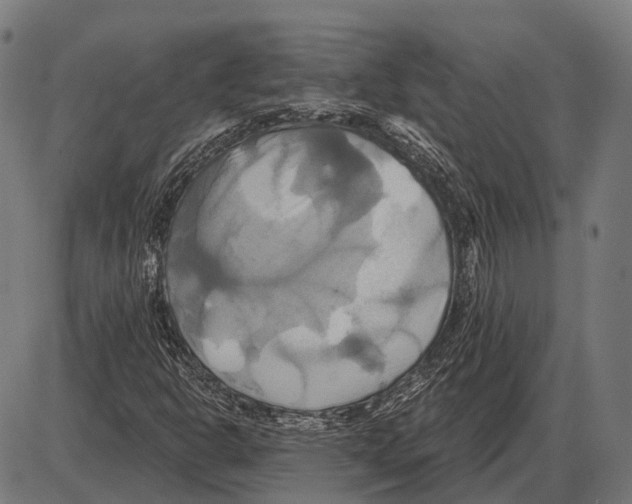 X0000084021302200703161729