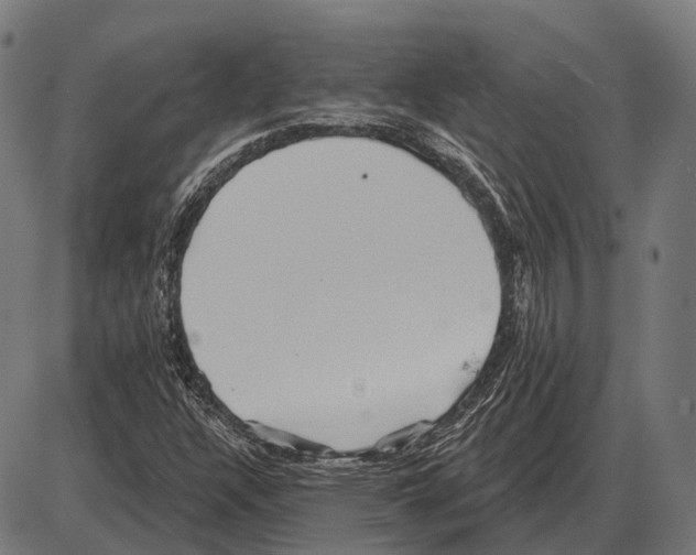 X0000084021304200703161729