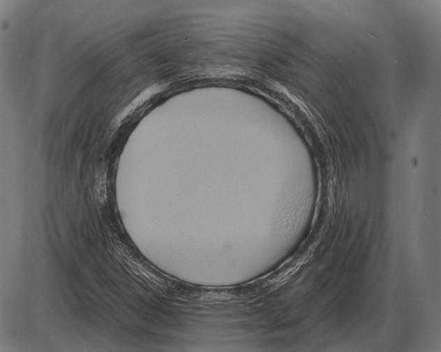 X0000084021306200703161729