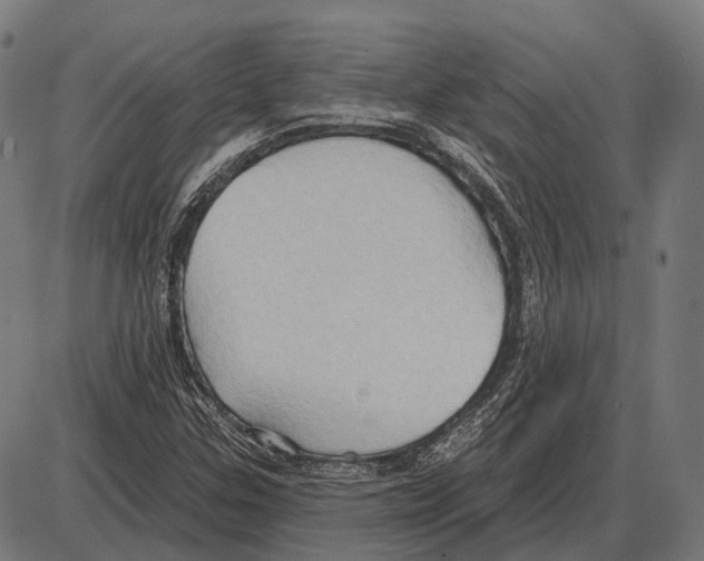 X0000084021307200703161729