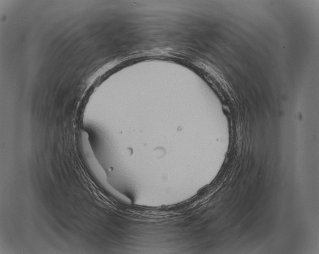 X0000084021308200703161729