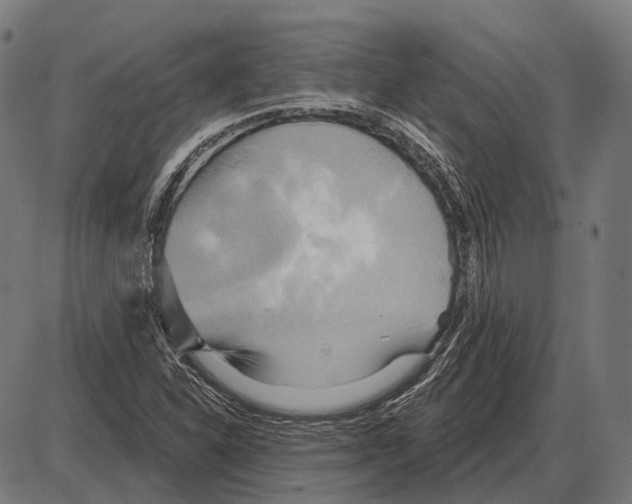 X0000084021310200703161729