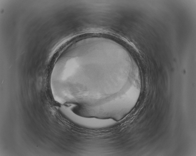 X0000084021311200703161729