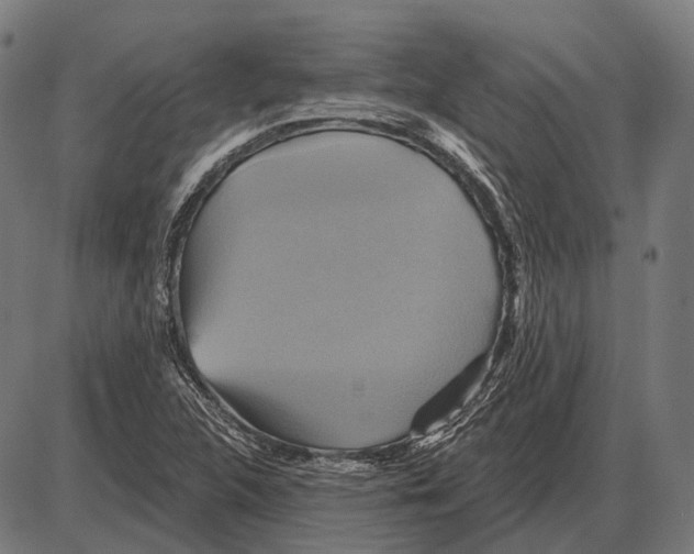 X0000084021312200703161729