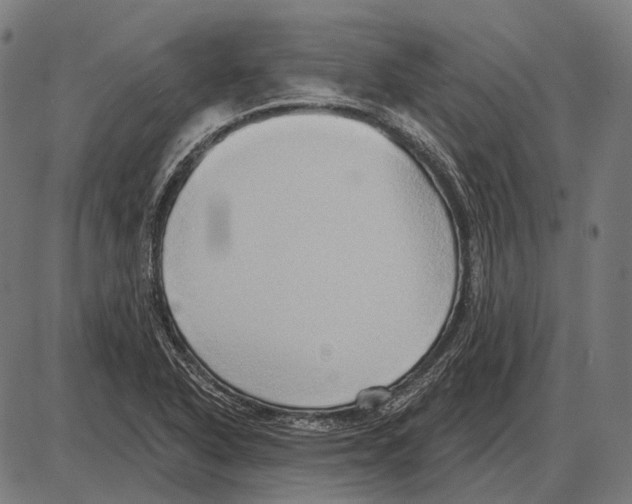 X0000084021318200703161729