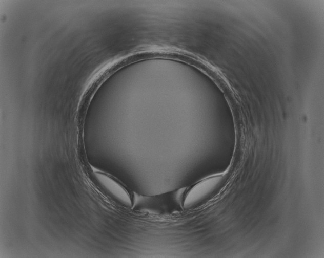 X0000084021319200703161729