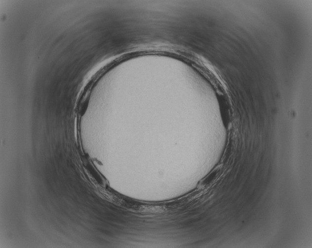 X0000084021320200703161729