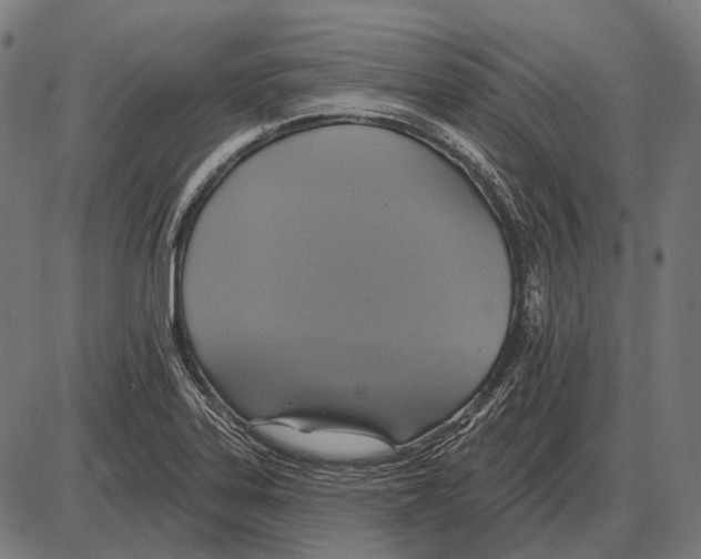 X0000084021323200703161729