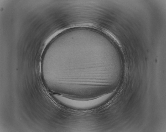 X0000084021324200703161729