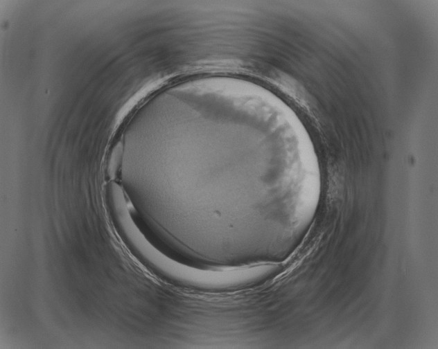 X0000084021325200703161729