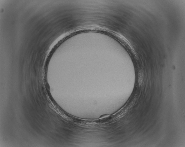 X0000084021326200703161729