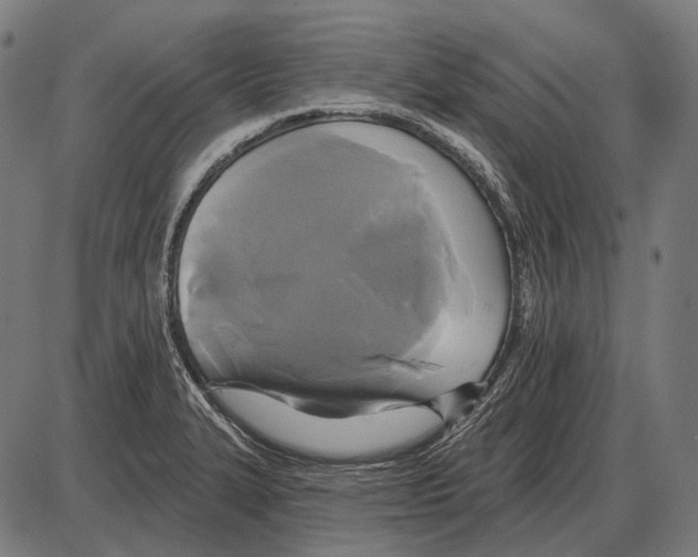 X0000084021327200703161729