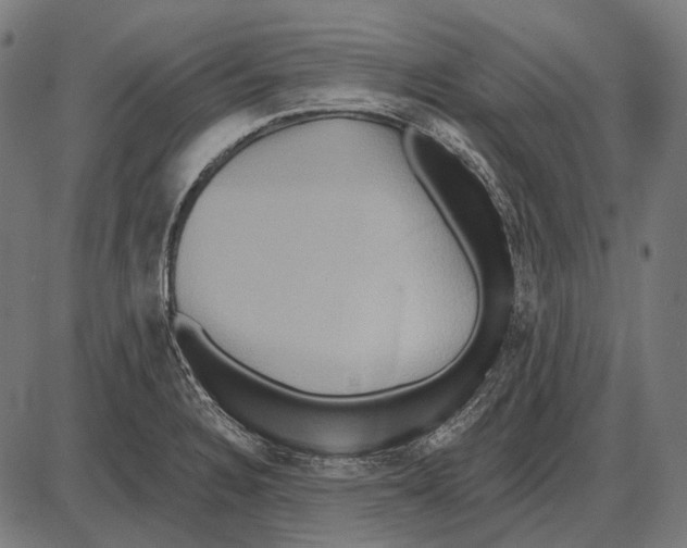 X0000084021328200703161729