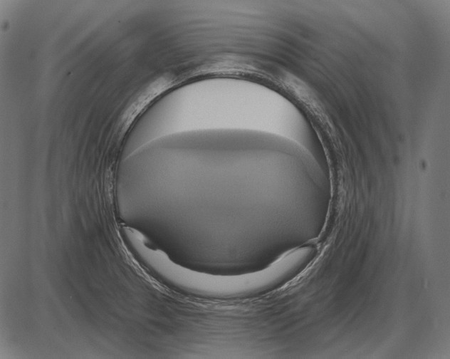 X0000084021329200703161729