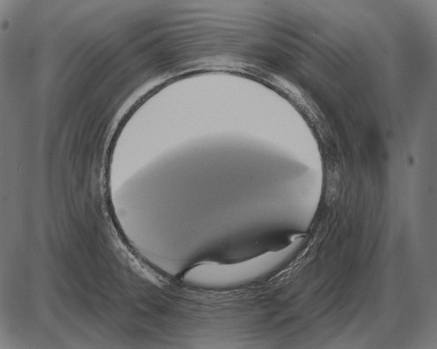 X0000084021331200703161729