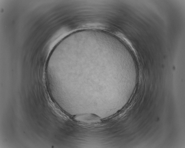 X0000084021336200703161729