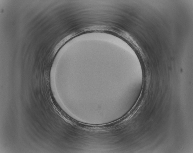 X0000084021337200703161729