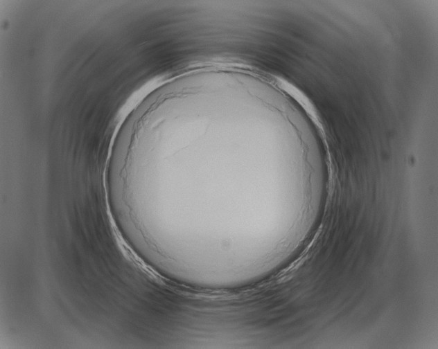 X0000084021338200703161729