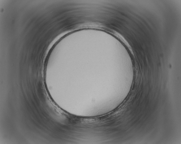 X0000084021339200703161730