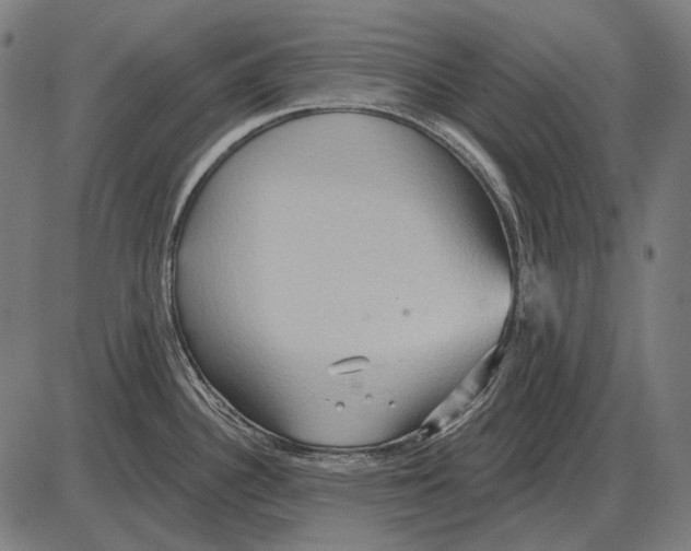 X0000084021340200703161730