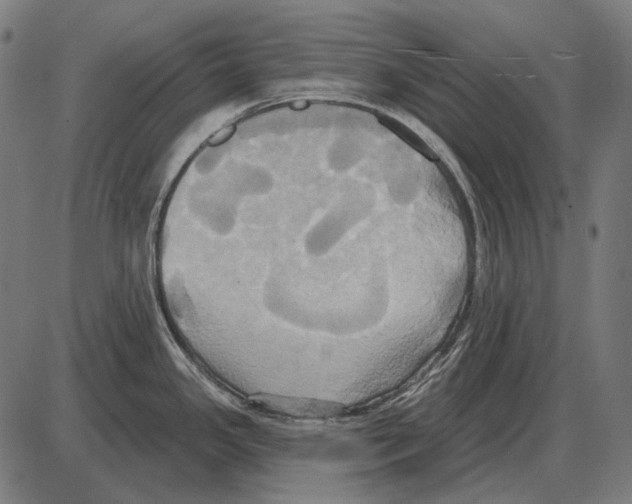 X0000084021341200703161730