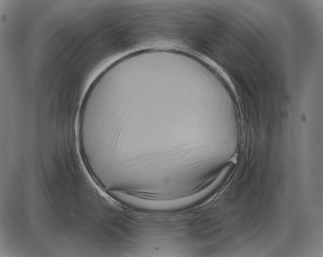 X0000084021343200703161730