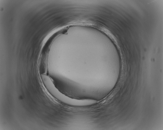 X0000084021344200703161730