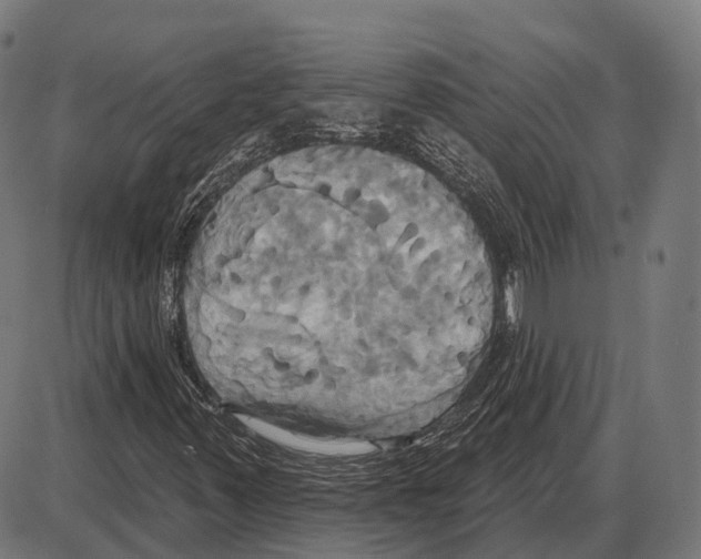 X0000084021347200703161729