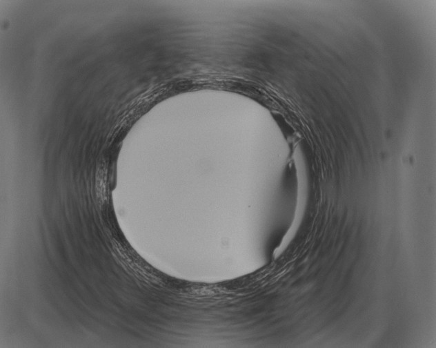 X0000084021348200703161729