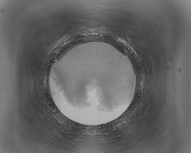 X0000084021350200703161729