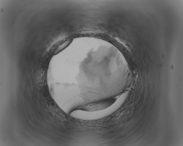 X0000084021351200703161729