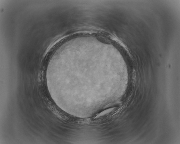 X0000084021352200703161729